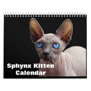 2024 Sphynx Kitten Calendar