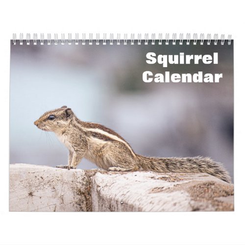 2024 Squirrel Calendar