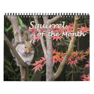 2024 Squirrel Wall Calendar (or pick a Start Date)