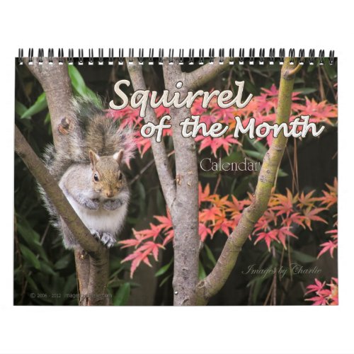 2024 Squirrel Wall Calendar or pick a Start Date