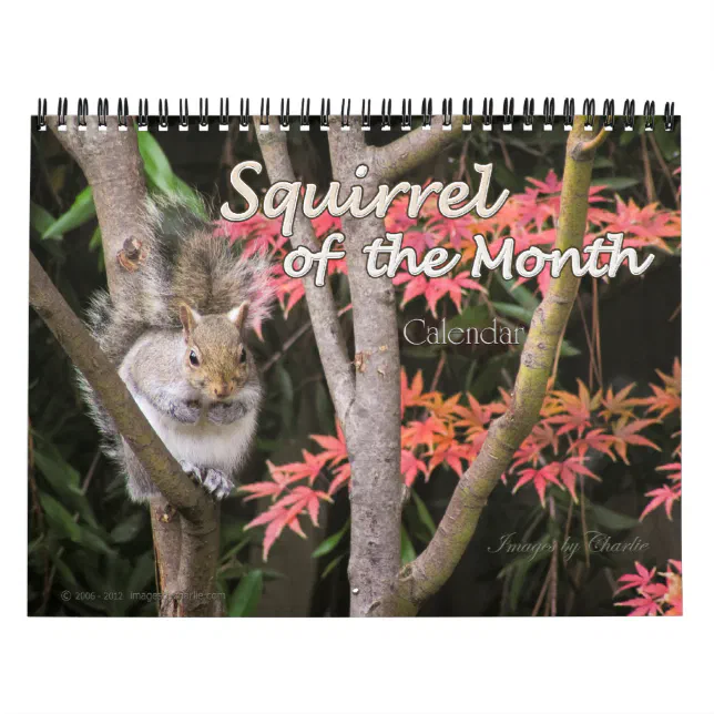 2024 Squirrel Wall Calendar (or pick a Start Date) Zazzle