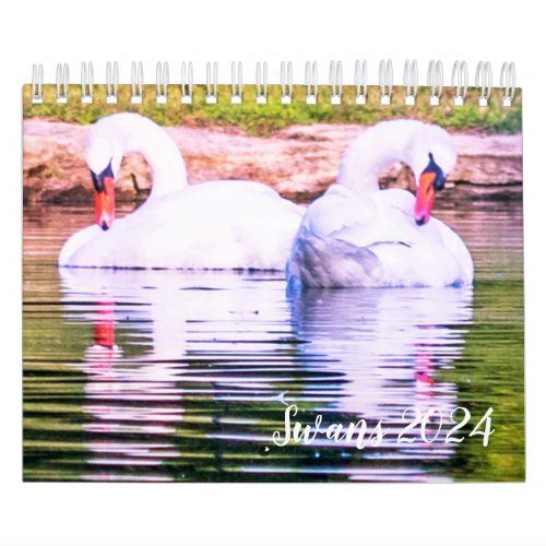 2024 Swan Calendar
