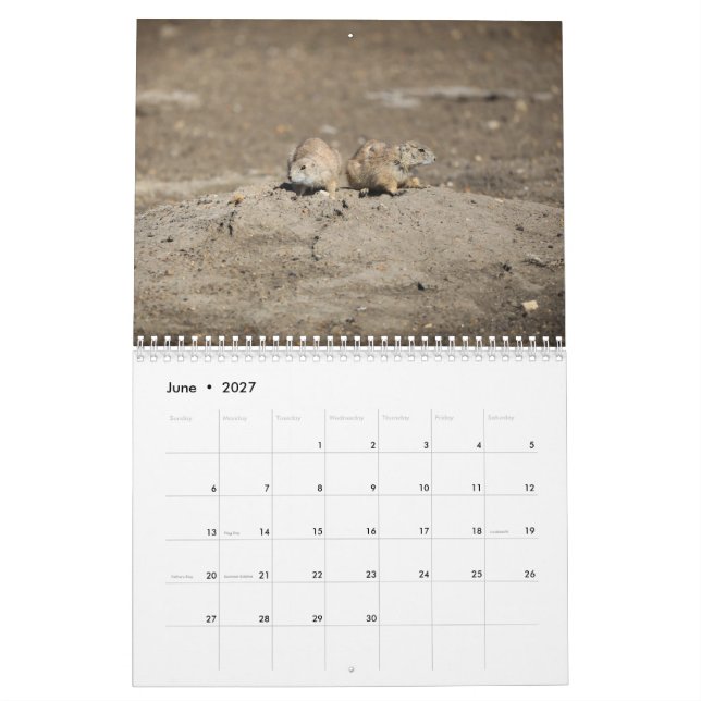 2024 Wildlife Calendar (Jun 2027)