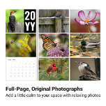 2024 Wildlife Photography Calendar<br><div class="desc">Popular wildlife favorites like birds, butterflies, bees, rabbits, squirrels, and autumn leaves fill the pages of this organic nature and wildlife photography calendar. After the year is over, cut off the spine to enjoy 12 frame-worthy nature photos for years to come. I hope you will enjoy this colorful calendar full...</div>
