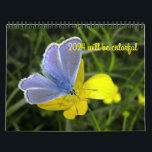 2024 will be colorful calendar<br><div class="desc">Delightful flowers to brighten every months in 2024.</div>