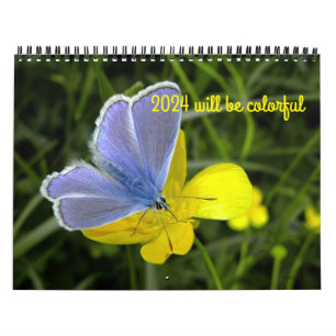 2024 will be colorful calendar