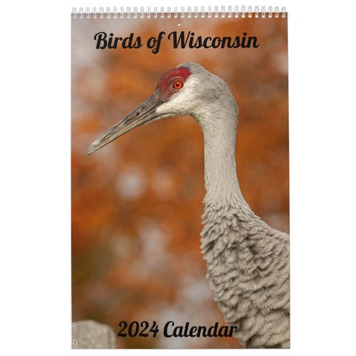 2024 Wisconsin Birds Calendar