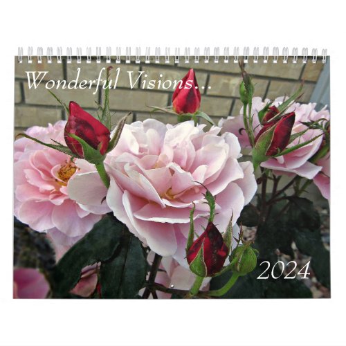 2024 Wonderful Visions Medium Wall Calendar