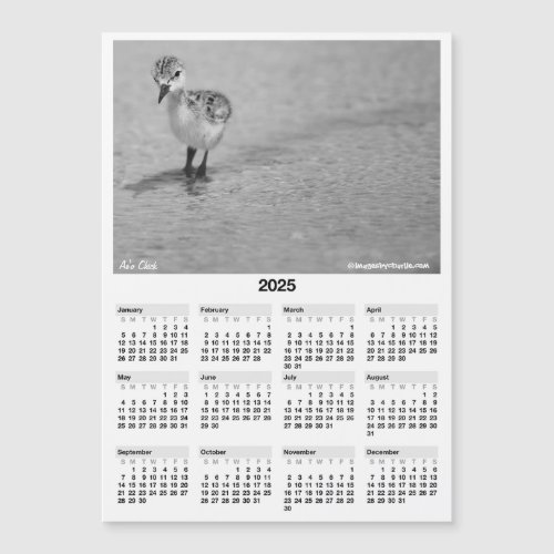 2025 5x7 Calendar Magnet Hawaiian Stilt Aeo Chick