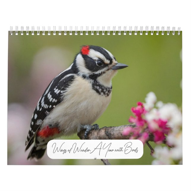 2025 A Year with Birds Modern Custom Photo Calendar (Cover)
