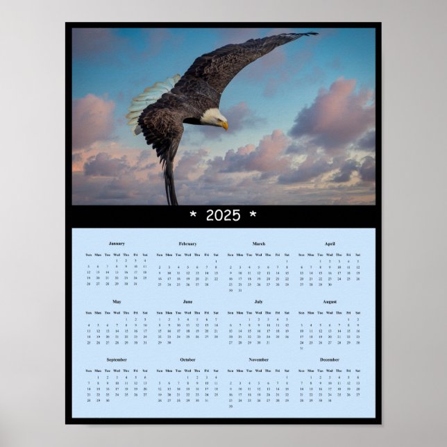 2025 Bald Eagle Wall Calendar Poster (Front)