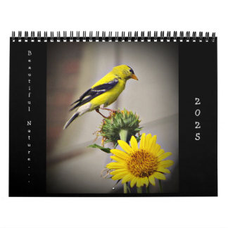 2025 Beautiful Nature Wall Calendar Medium Size