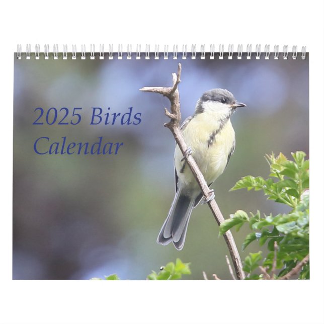 2025 Birds Calendar (Cover)