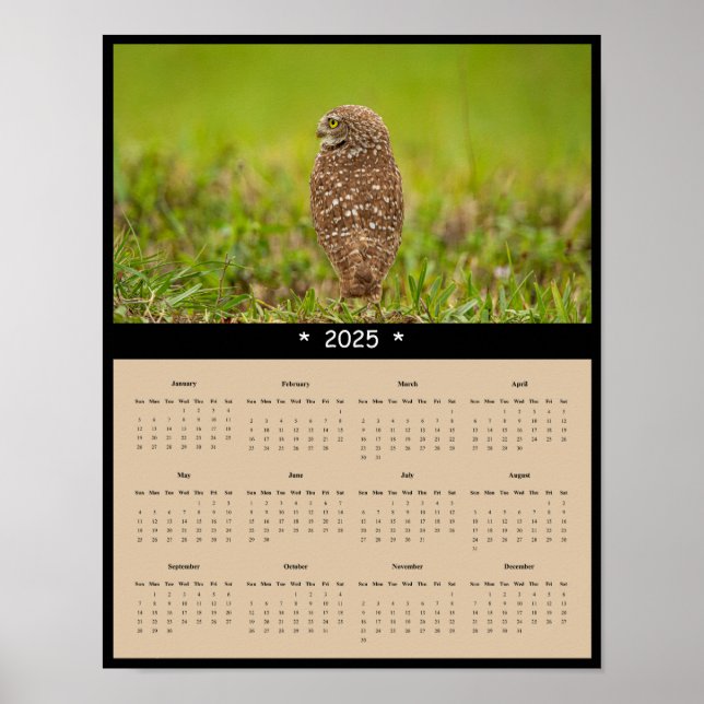 2025 Burrowing Owl Wall Calendar Poster (Front)