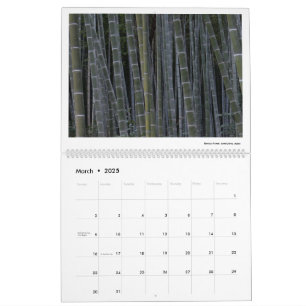 2025 Calendar
