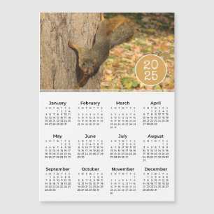 2025 Calendar Cute Squirrel Photo Magnet