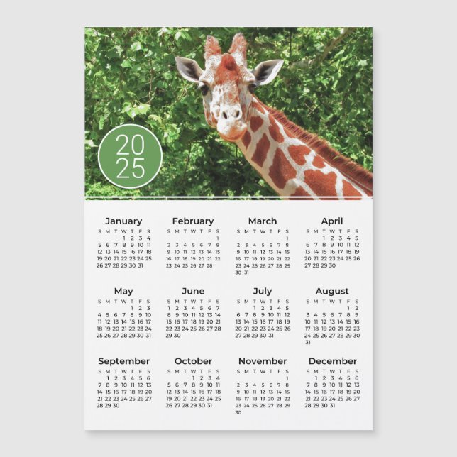 2025 Calendar Giraffe Photograph Magnet (Front)