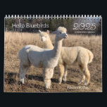 2025 Calendar - Hello Bluebirds Farm Photos<br><div class="desc">Keep track of the 2025 calendar year with this 12 month photo calendar featuring scenes from Hello Bluebirds farm in Wisconsin,  USA. Features our alpacas,  goats,  flowers,  the Northern Lights,  and more. Great gift for the nature and animal lovers in your life!</div>
