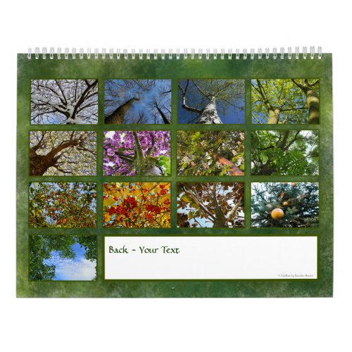 2025 Calendar _ In the Tree Crowns