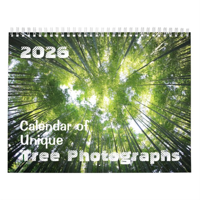 2025 Calendar of Unique Tree Photographs Customize (Cover)