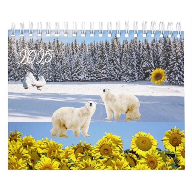 2025 Calendar Polar Bear  (Cover)