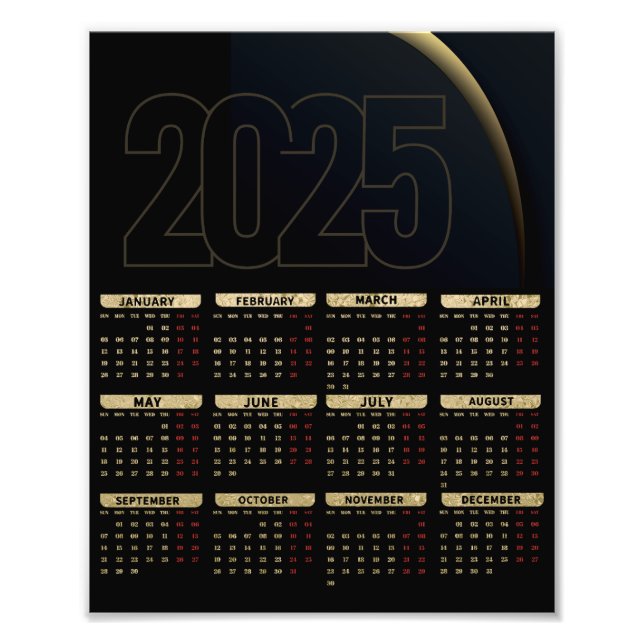  2025 Calendar Professional Elegant Lion Logo Photo Print (Front)