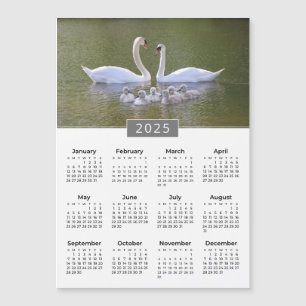 2025 Calendar Swan & Cygnets Magnet