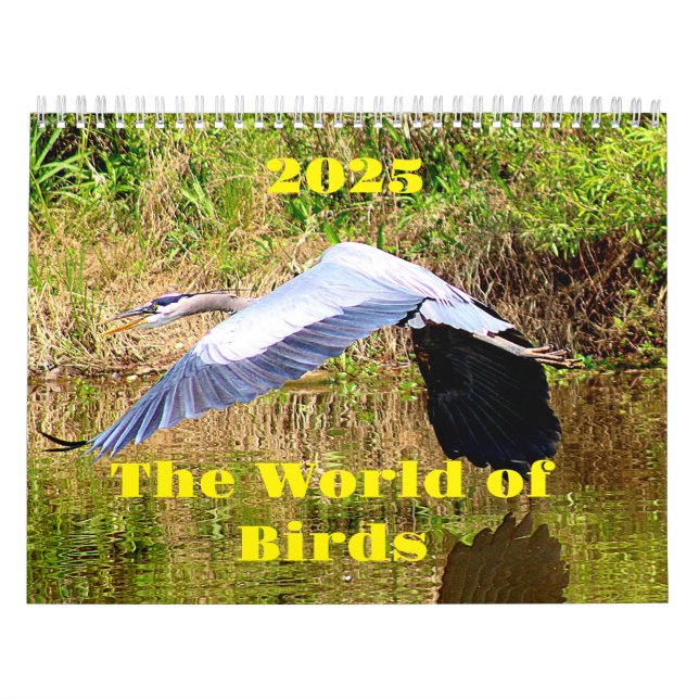 2025 Calendar World of Birds (Cover)