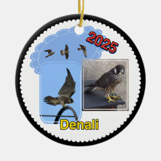 2025 Ceramic Circle Ornament Denali