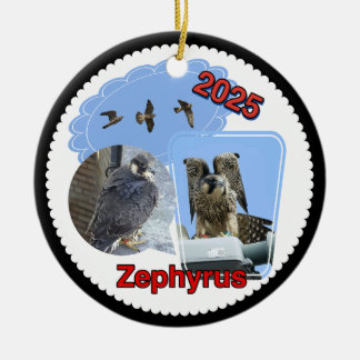 2025 Ceramic Circle Ornament Zephyrus