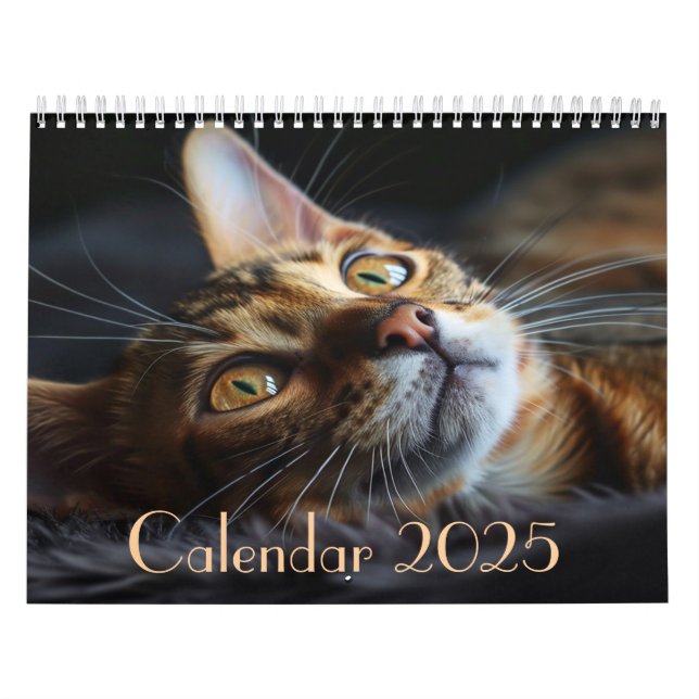 2025 Customizable Cat Calendar with Notes  (Cover)