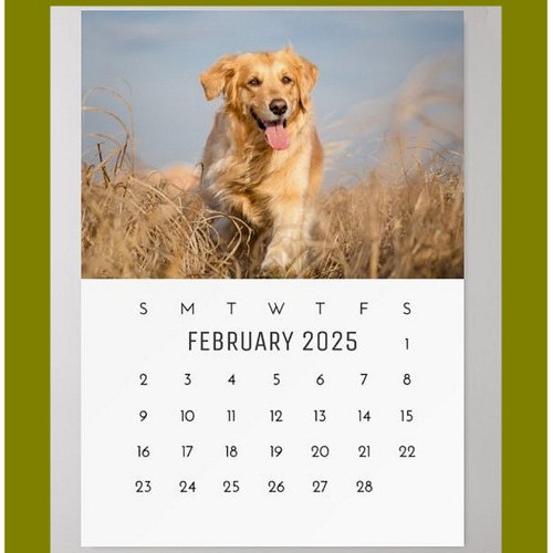 2025 CYO PHOTO DESK CALENDAR 5x7 FEBRUARY WITH OUT Holder