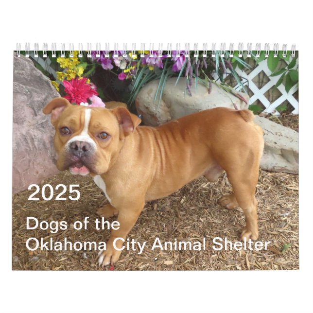 2025 Dogs of the Oklahoma City Animal Shelter Calendar (Cover)