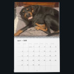 2025 DT Calendar<br><div class="desc">2024 dobermantalk calendar</div>