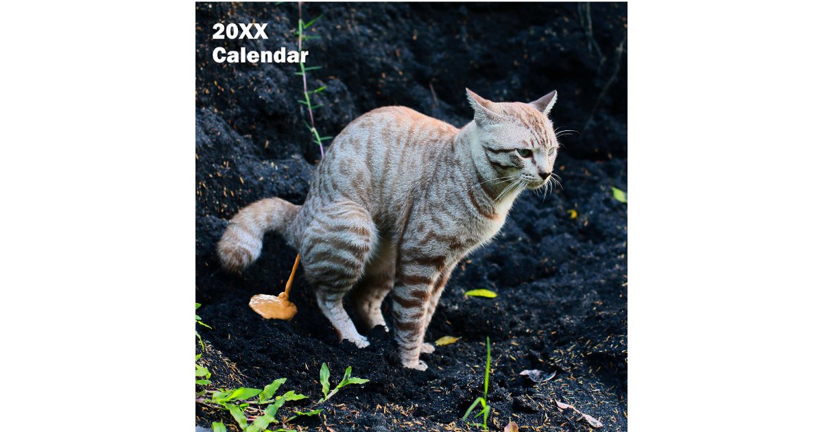 2025 Funny Cats Pooping Calendar Personalized Zazzle