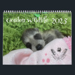 2025 Gordon Wildlife Raccoon Calendar<br><div class="desc">2025 Calendar featuring the raccoons of Gordon Wildlife!  Support our wildlife rehabilitation center and hang a little of the magic on your wall.</div>