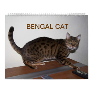 2025 Gorgeous Bengal Cats  Calendar