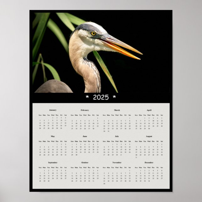 2025 Great Blue Heron Wall Calendar Poster (Front)