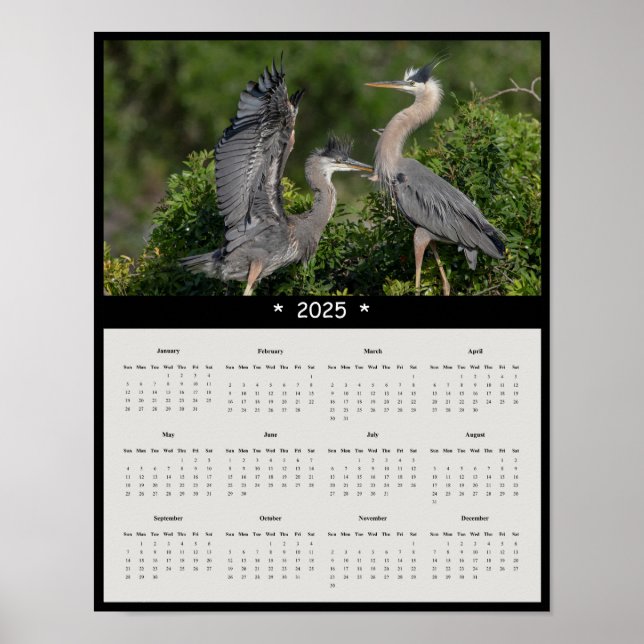 2025 Great Blue Heron Wall Calendar Poster (Front)