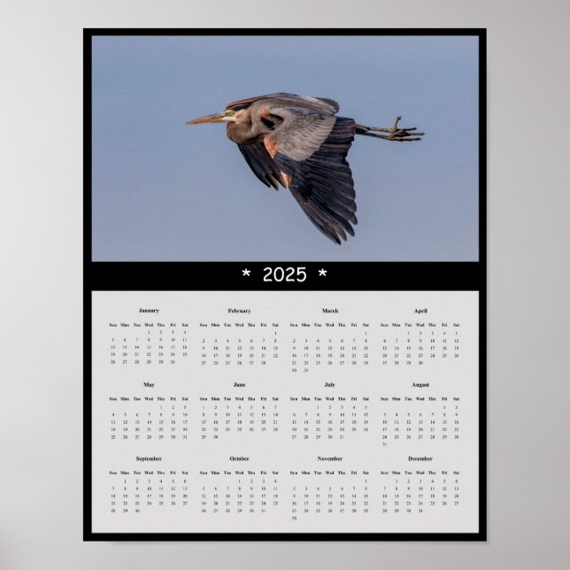2025 Great Blue Heron Wall Calendar Poster (Front)
