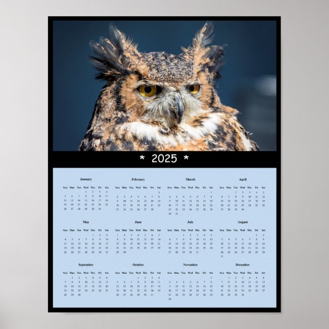 2025 Great Horned Owl Wall Calendar Poster (Front)