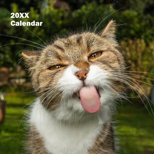 2025 Hilarious Animals Personalized Calendar