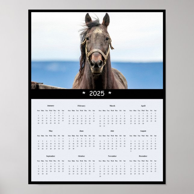 2025 Horse Wall Calendar Poster (Front)