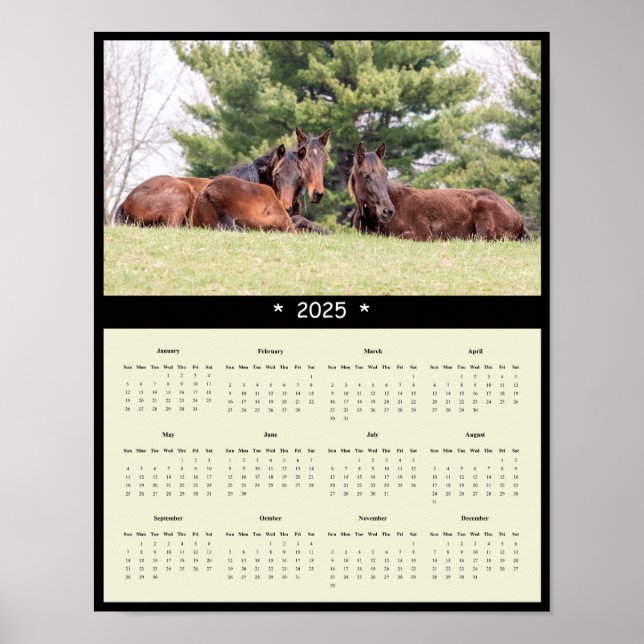 2025 Horses Wall Calendar Poster (Front)