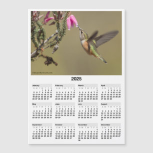 2025 Hummingbird 5x7" Magnetic Mini Calendar