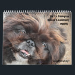 2025 Liz E.'s Pekingese Wall Calendar<br><div class="desc">It's here! The 2025 Liz E.'s Pekingese Rescue and Sanctuary wall calendar! This is an up close and personal edition! We hope you enjoy the year full of Pekingese!</div>