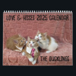 2025 Love & Hisses - THE DUCKLINGS Calendar<br><div class="desc">The Love & Hisses 2025 Calendar for our fosters Huey, Louie and Dewey - the Ducklings - who we fostered from January - March, 2024. They were discovered stashed under an abandoned building by their mother - a stray feral - at about 5 weeks old. They were very hissy and...</div>