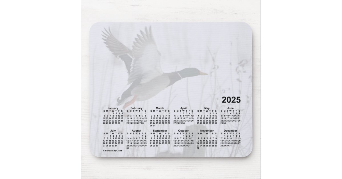 2025 Mallard Duck Calendar by Janz Mouse Pad Zazzle