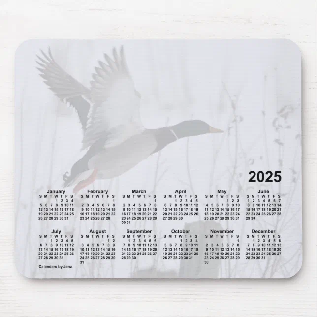 2025 Mallard Duck Calendar by Janz Mouse Pad Zazzle