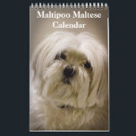 2025 Maltipoo Maltese Puppy Calendar<br><div class="desc">This wall calendar feature is Maltipoo Maltese Puppy photography. Makes a great gift for dog lovers.</div>